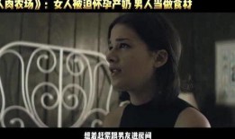 人肉场电影在线观看,揭秘网络直播的暗黑面